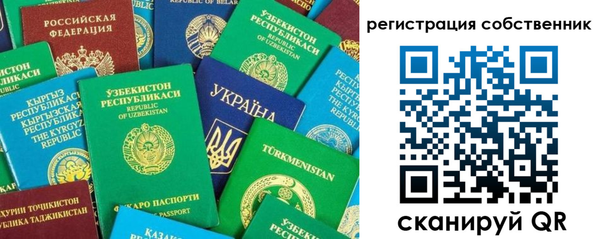 прописка в Губкине